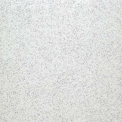 Standard Stardust 12 x 12 Stardust White 